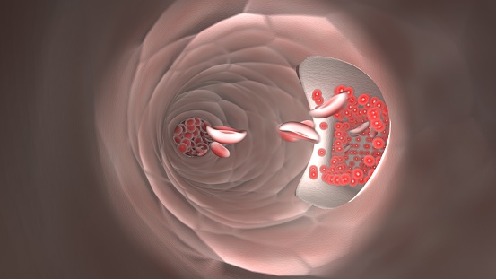 Endoscopic view of flowing red blood cells in a vein