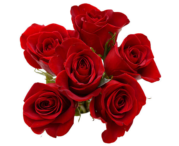 istock bouquet of red roses 531261213