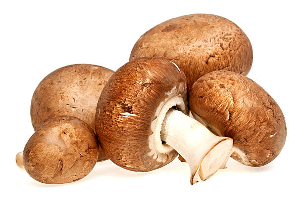 istock Fresh mushroom champignon isolated on white background 531261819
