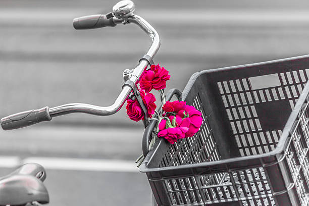 Bike and flower Bike and selective color of flower bald head island stock pictures, royalty-free photos & images