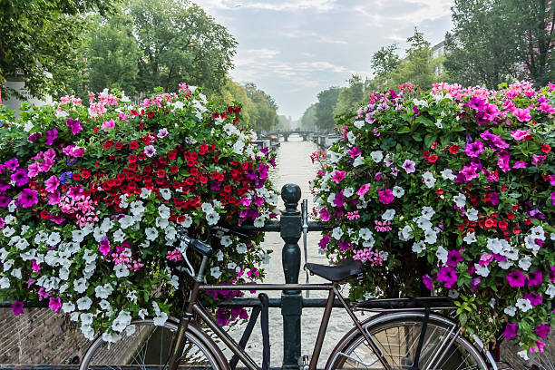 istock Bicycle and Flowers Over Canal in Amsterdam 531262085