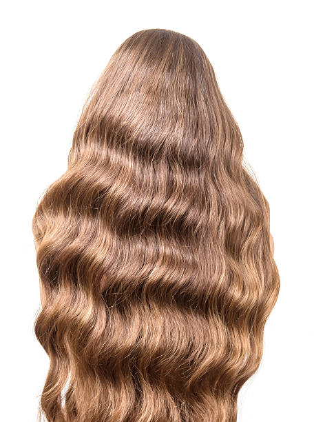 istock Luxury brown curly hair flowing on the back isolated  white 531263046