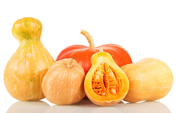 istock Ripe pumpkins  different shapes isolated on white background 531264398
