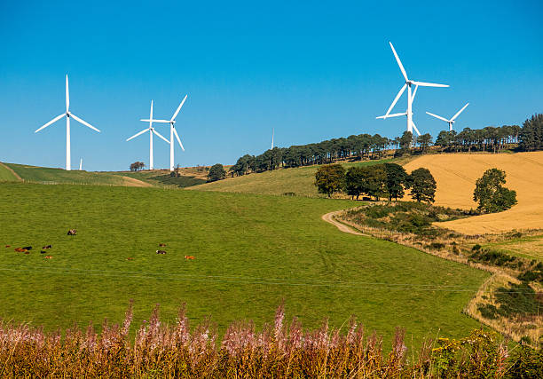 windturbinen über felder, huntly, aberdeenshire, großbritannien - deep focus stock-fotos und bilder