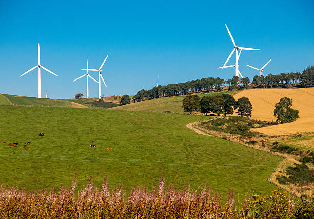 Wind Turbines Above Fields, Huntly, Aberdeenshire, UK