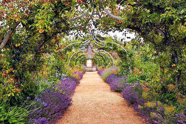istock Archway in an English garden in summer 531265747