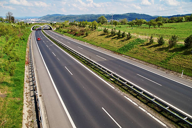 istock Corridor highway with the transition for animals, three red car 531266163