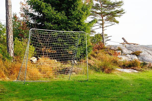 istock Football goal on green grass 531267065
