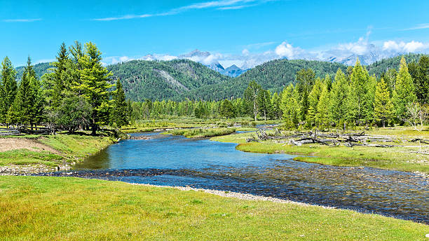 istock picturesque river in the Tunka valley 531267388