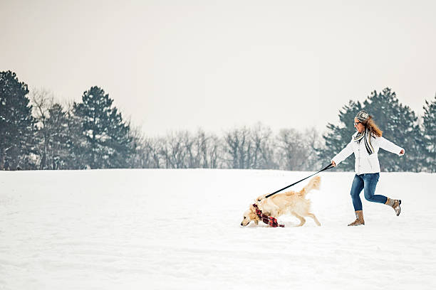 femme avec son chien course - snow dog walking running photos et images de collection