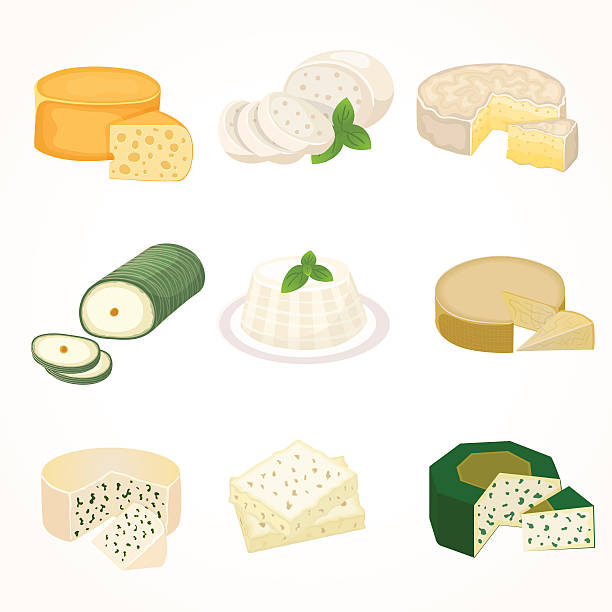 käse sorten vektor-illustration - weichkäse stock-grafiken, -clipart, -cartoons und -symbole