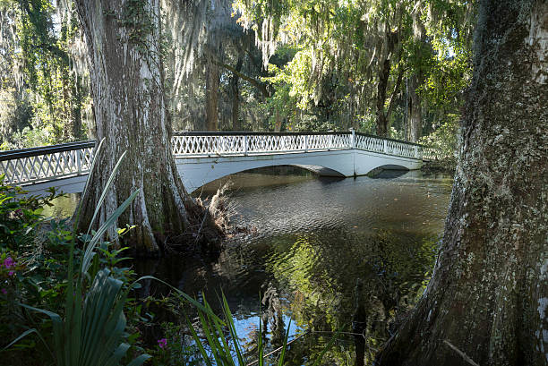Shots in and around Charleston, South Carolina.