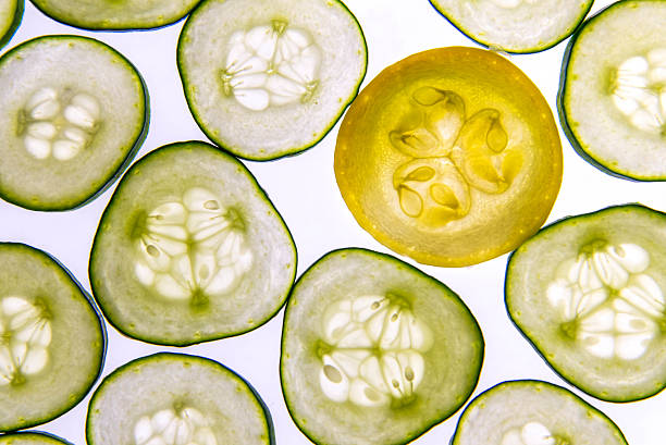 istock backlit slices of green cucumbers and yellow squash 531281413