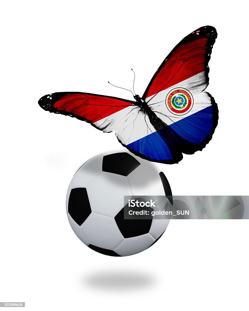 Concept - butterfly with  Paraguay flag flying near the ball Concept - butterfly with Paraguay flag flying near the ball, like football team playing 2015 Stock Photo