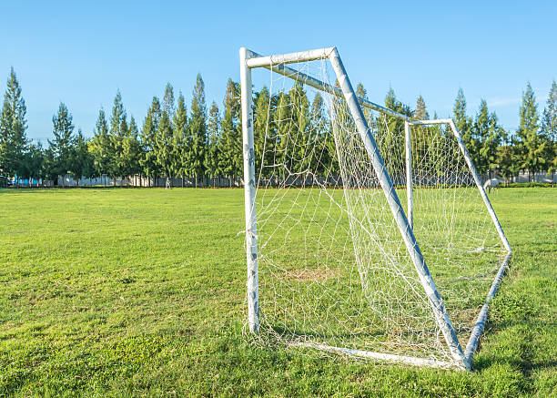 istock soccer goal in field with blue sky white cloud 531289669