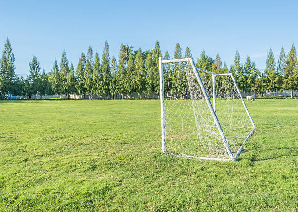 istock soccer goal in field with blue sky white cloud 531289671