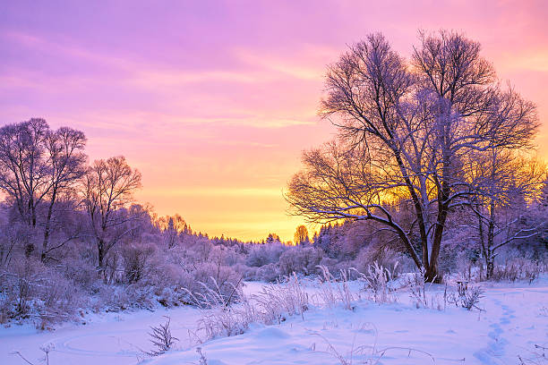 istock winter landscape with sunset and the  forest 531290421
