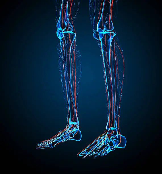 Photo of 3d render medical illustration of the nerve system