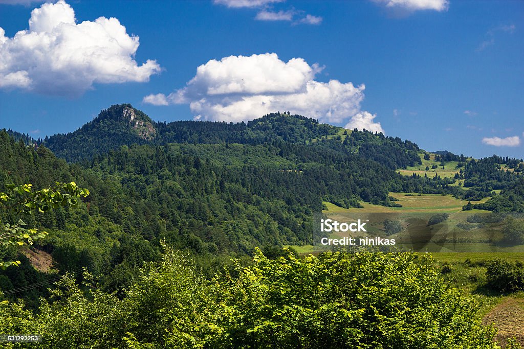 Pieniny in Summer 2015 Stock Photo