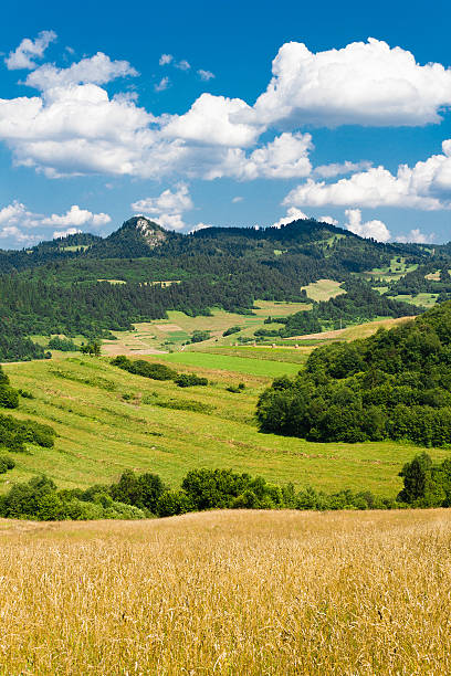 istock Summer in Mountains. Pieniny, Slovakia. 531292303