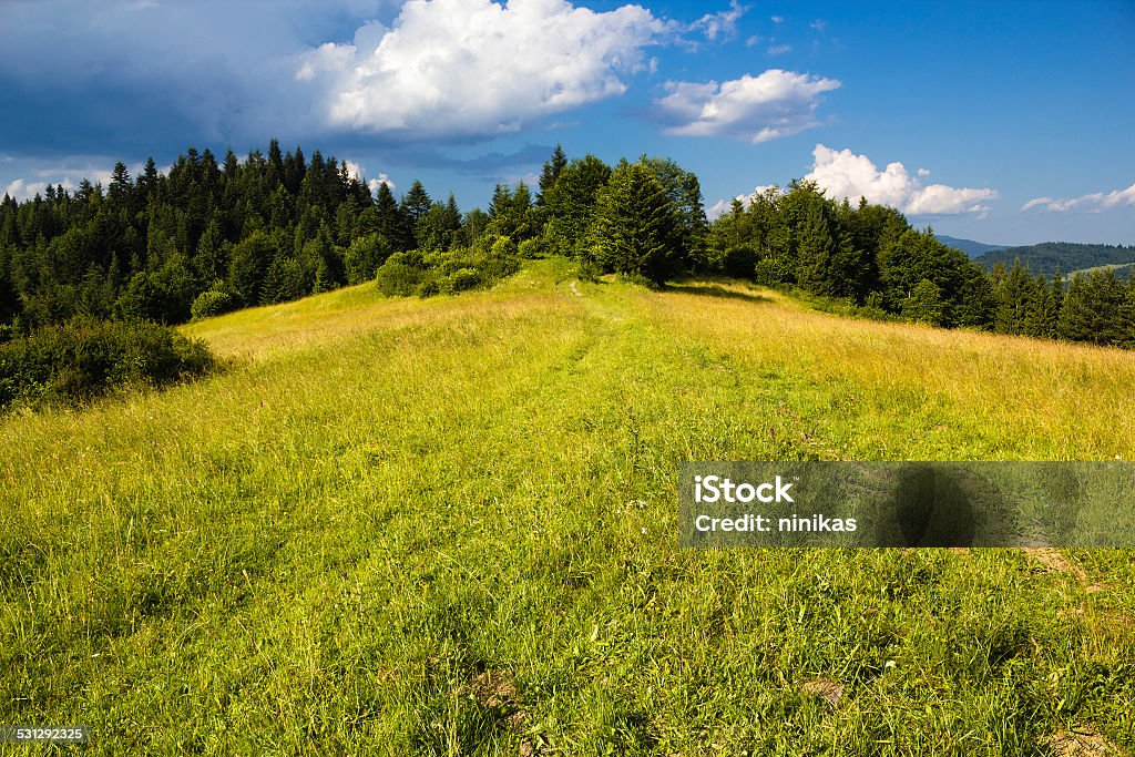 Pieniny Mountains in Summer 2015 Stock Photo