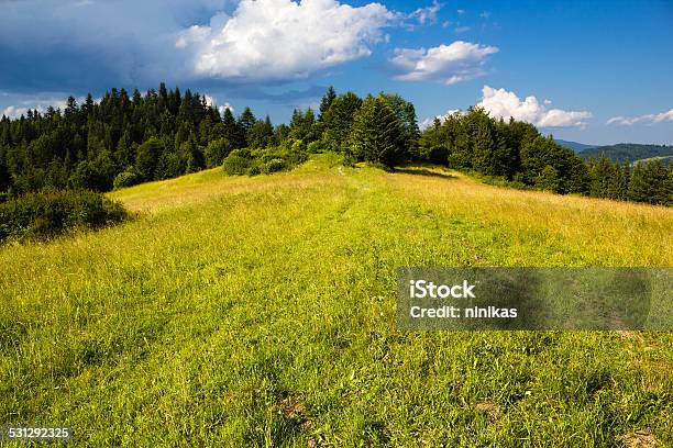 Pieniny Mountains In Summer Stock Photo - Download Image Now - 2015, Agricultural Field, Beskid Mountains