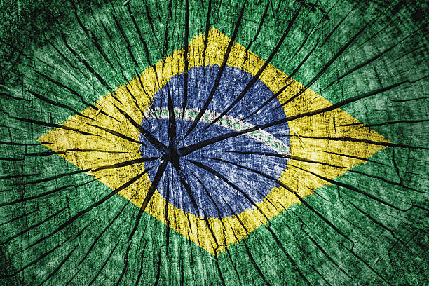 флаг бразилии - flag brazil brazilian flag dirty стоковые фото и изображения