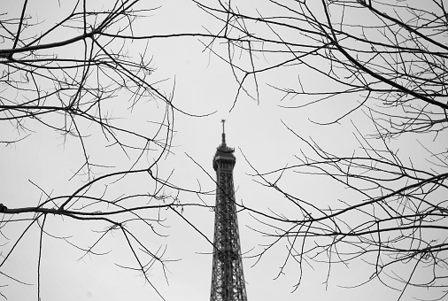Eiffel tower in Paris, seen from behind the trees