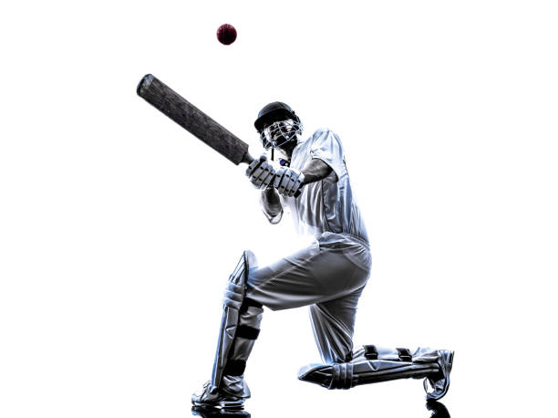 giocatore di cricket battitore del cricket silhouette - battitore del cricket foto e immagini stock