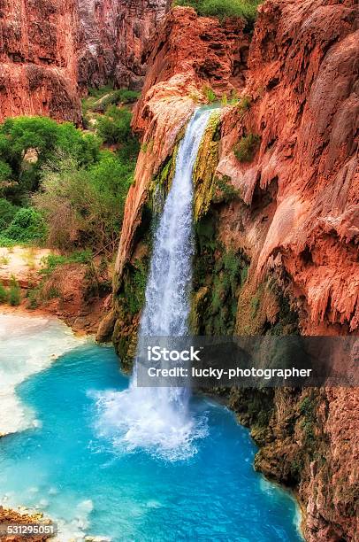 Falls With Blue Water Havasu Falls Grand Canyon Arizona Usa Stock Photo - Download Image Now