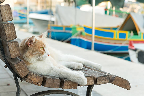 Marsaxlokk village, Malta
