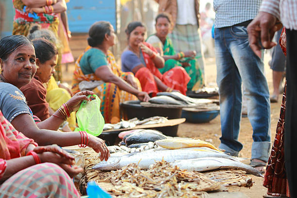 Kalingapatnam Fish Market Kalingapatnam, Andhra Pradesh, India - December 16, 2014: Unknown women selling freshly caught fish in the fish market. south indian lady stock pictures, royalty-free photos & images