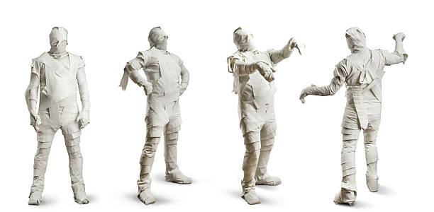 Men in toilet paper
