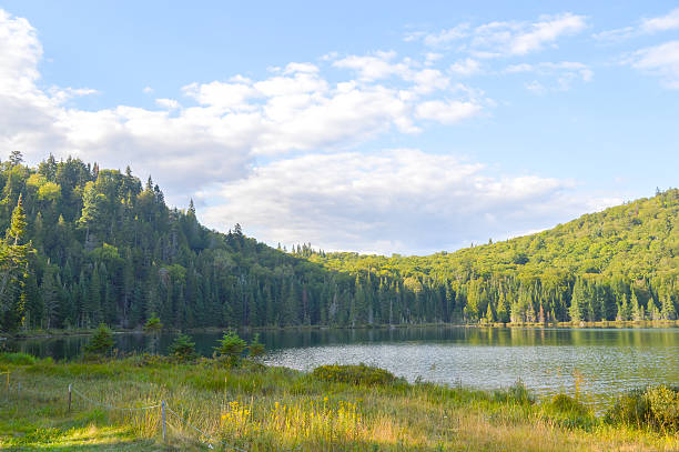 Lac in Mont-Tremblant national park in sunshine, Quebec, Canada