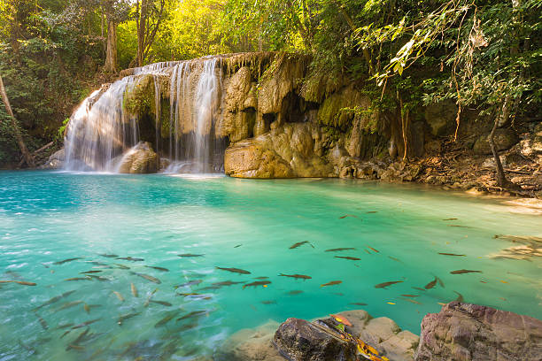 catarata de floresta profunda às cataratas de erawan - awe beauty in nature waterfall cool imagens e fotografias de stock