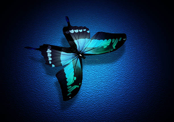 Butterflies are on the flowers