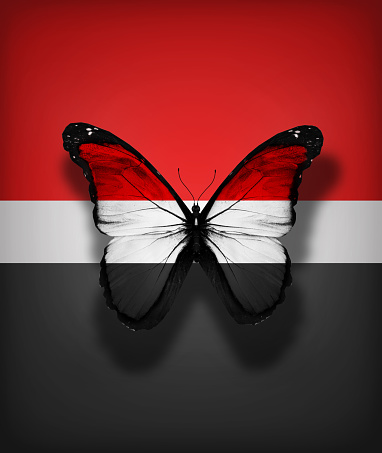 Yemen flag butterfly, isolated on flag background