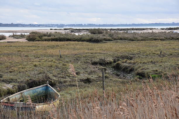 Abandoned row boat on Mersea Island (Colchester, Essex, England) on a cloudy day.