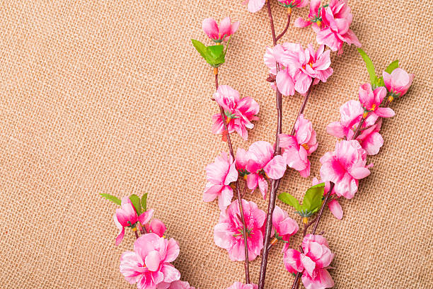 istock Chinese new year's decoration. 531306685