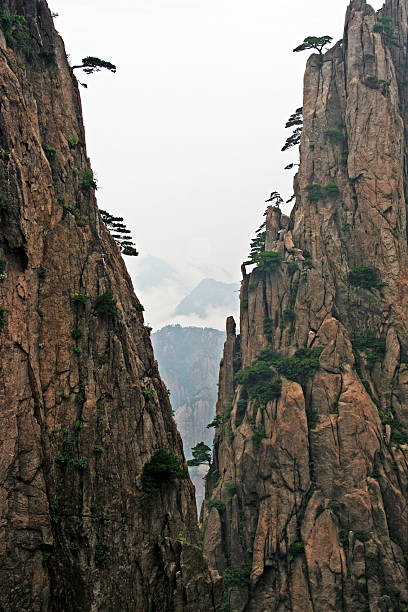 espetacular rochas e picos de huang shan mountains - huangshan mountains - fotografias e filmes do acervo