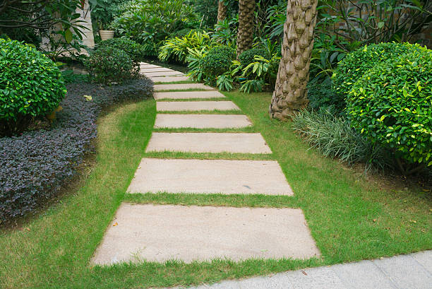 istock outdoor pathway in a garden 531307444