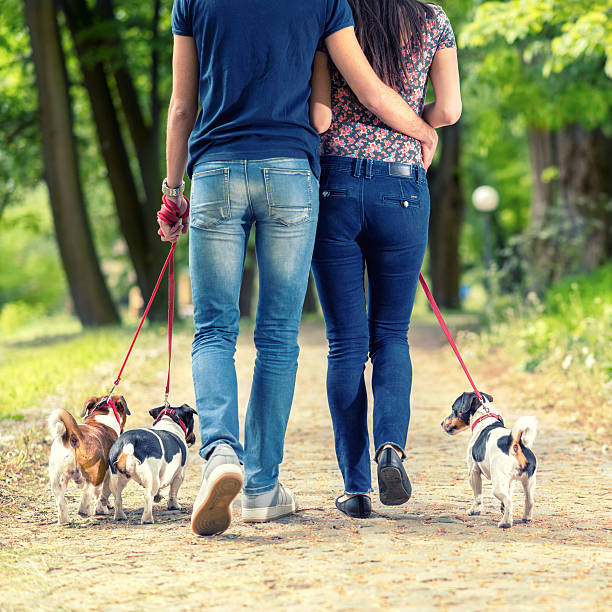 amor pareja con sus perros en el parque - male dog fotografías e imágenes de stock