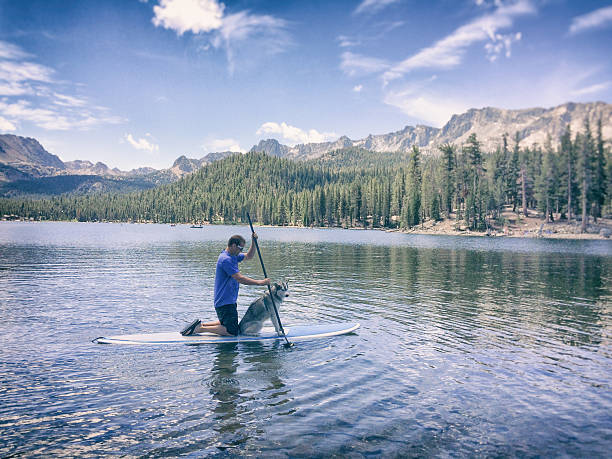 Man and dog paddle on a lake in Mammoth, California