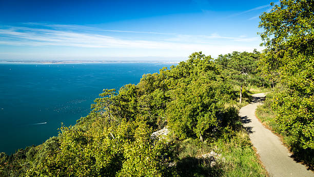 istock The gulf of trieste in a sunny day 531310570