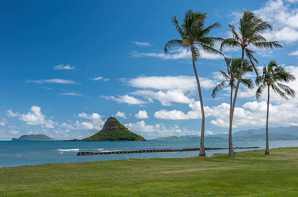 istock Mokoli’i from Kualoa Regional Park 531311370