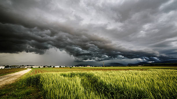 storm over the fields - onweer stockfoto's en -beelden