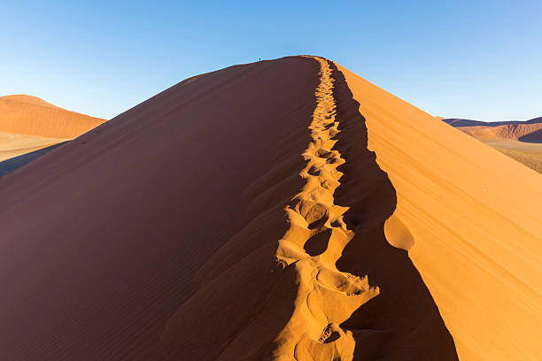 istock View from the dune 45 in Namib Desert, Sossusvlei, Namibia 531313968