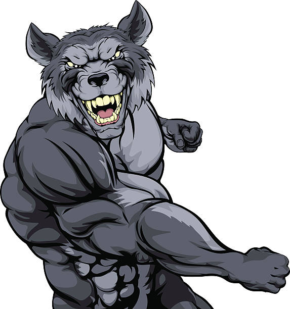 Punching wolf mascot Tough mean muscular wolf character or sports mascot in a fight punching with fist animal muscle stock illustrations