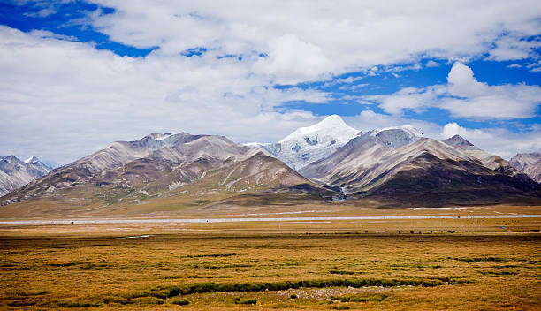 istock prairie and snow moutain at tibet,china. 531314405