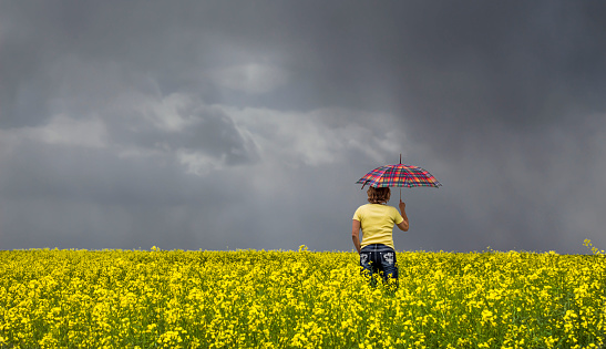 horizontal image of a woman standing  under very dark stormy rain clouds in the middle of a canola field holding a bright multicolored umbrella.